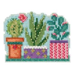 Succulents Kit