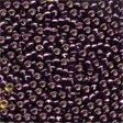 Glass Seed Beads 02080 Dark Plum