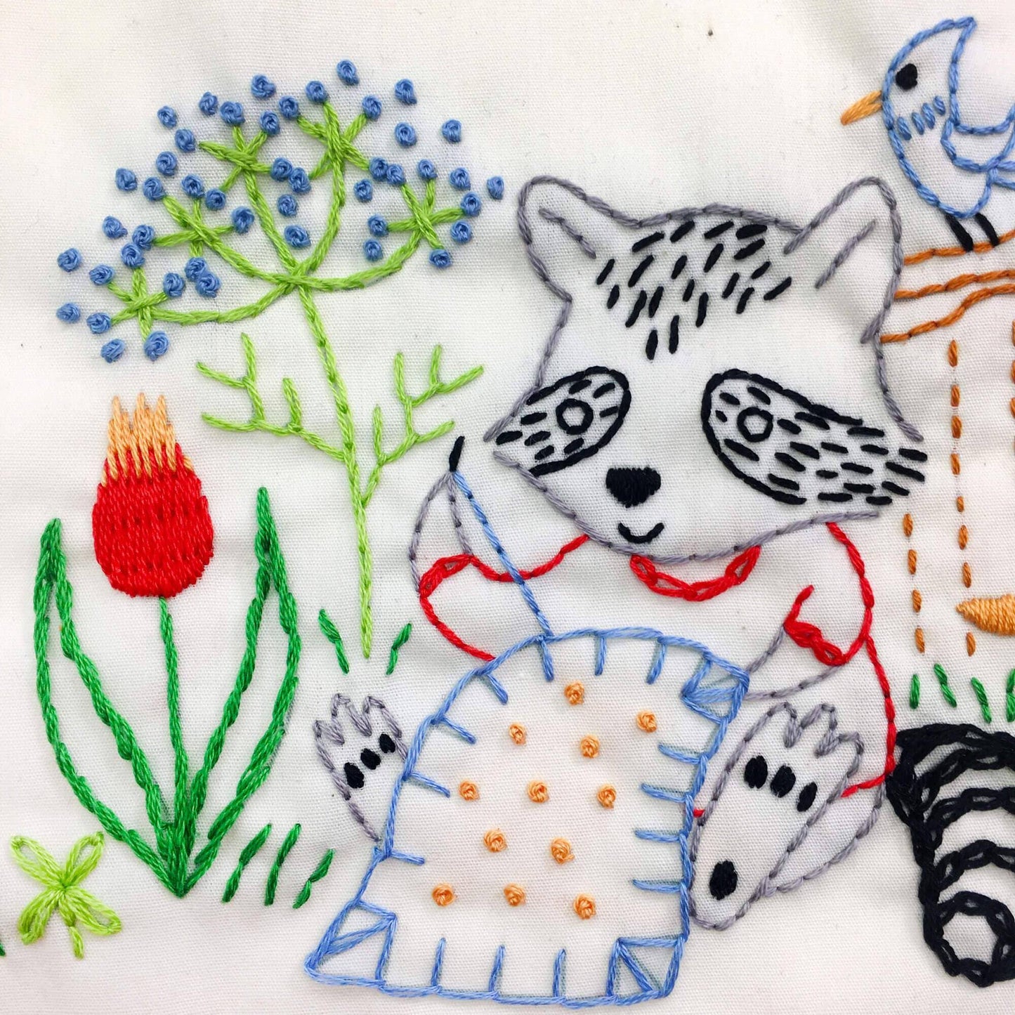 Stitching Raccoon Sampler Embroidery Kit