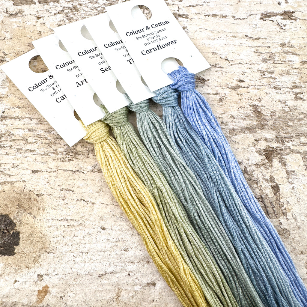 Gradient Thread Set Springtide