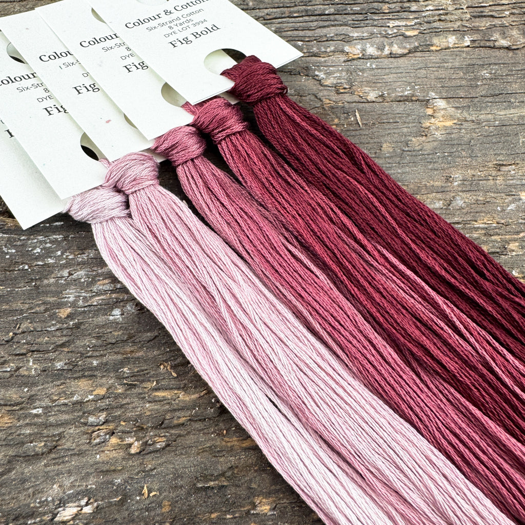 Gradient Thread Set Fig