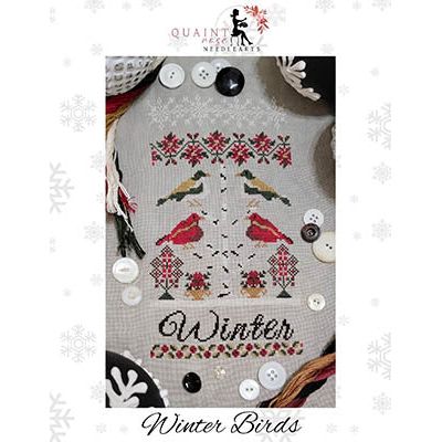 Winter Birds Pattern