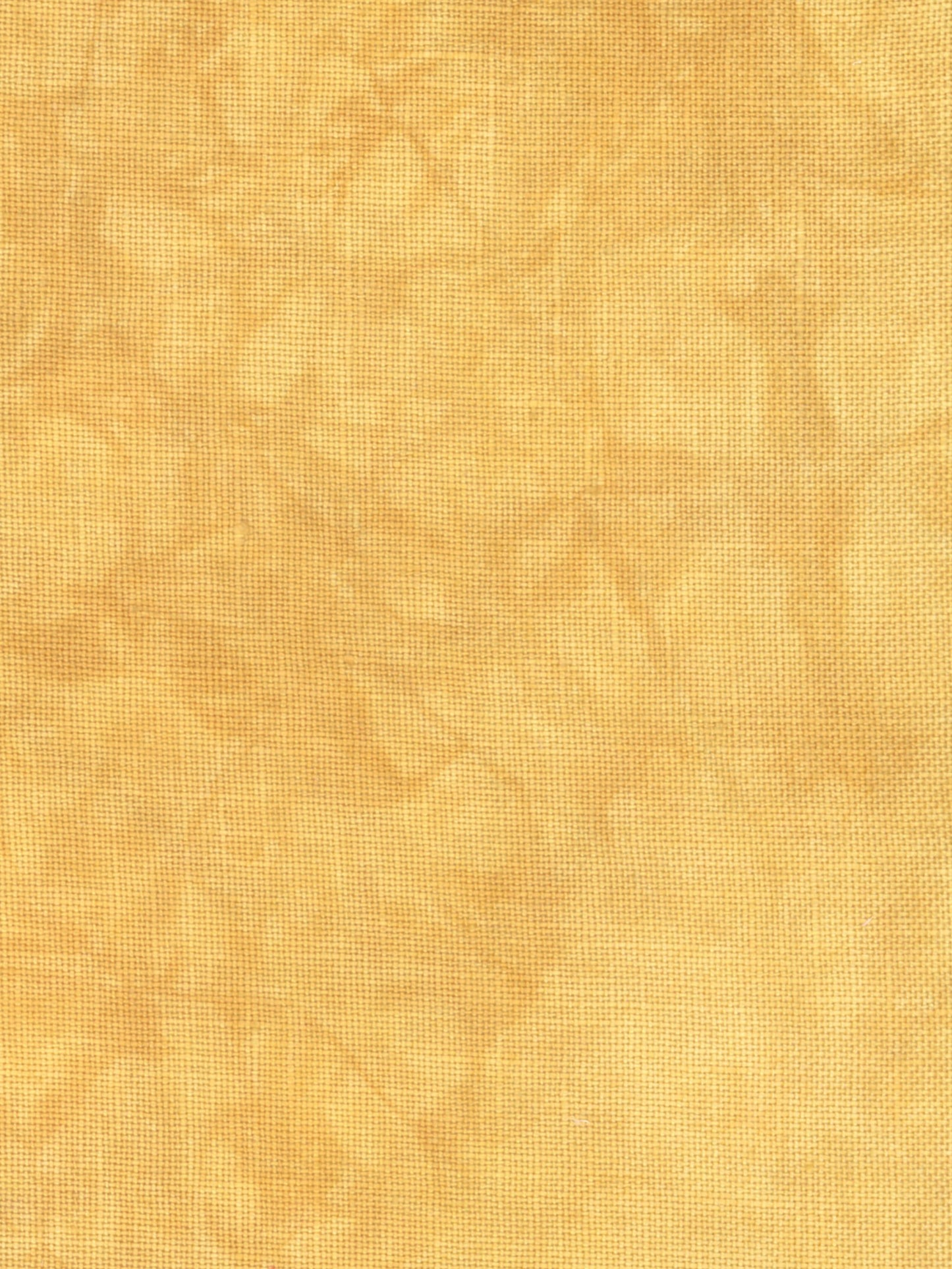 4020 Mustard Seed