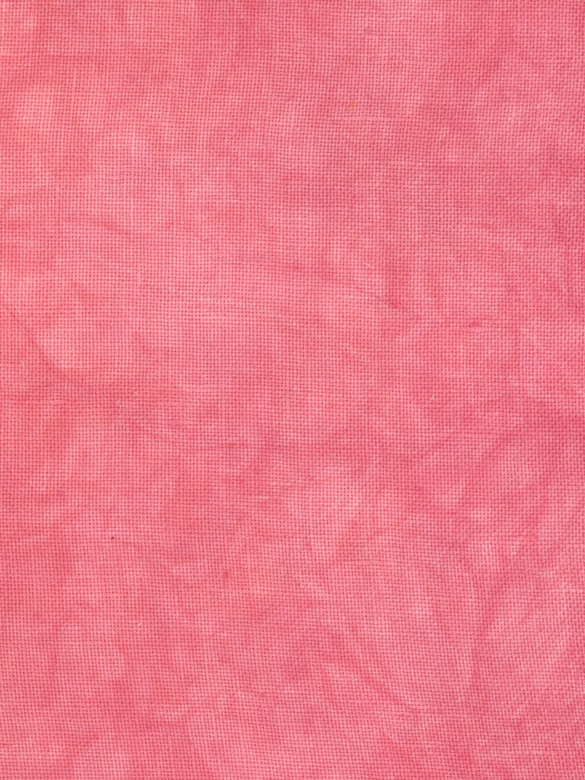 4310 Watermelon