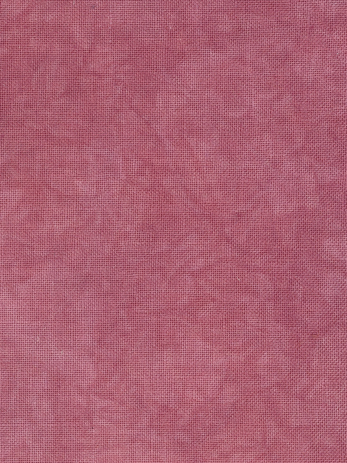 4530 Rhubarb