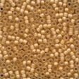 Glass Frosted Seed Beads 62040 Apricot