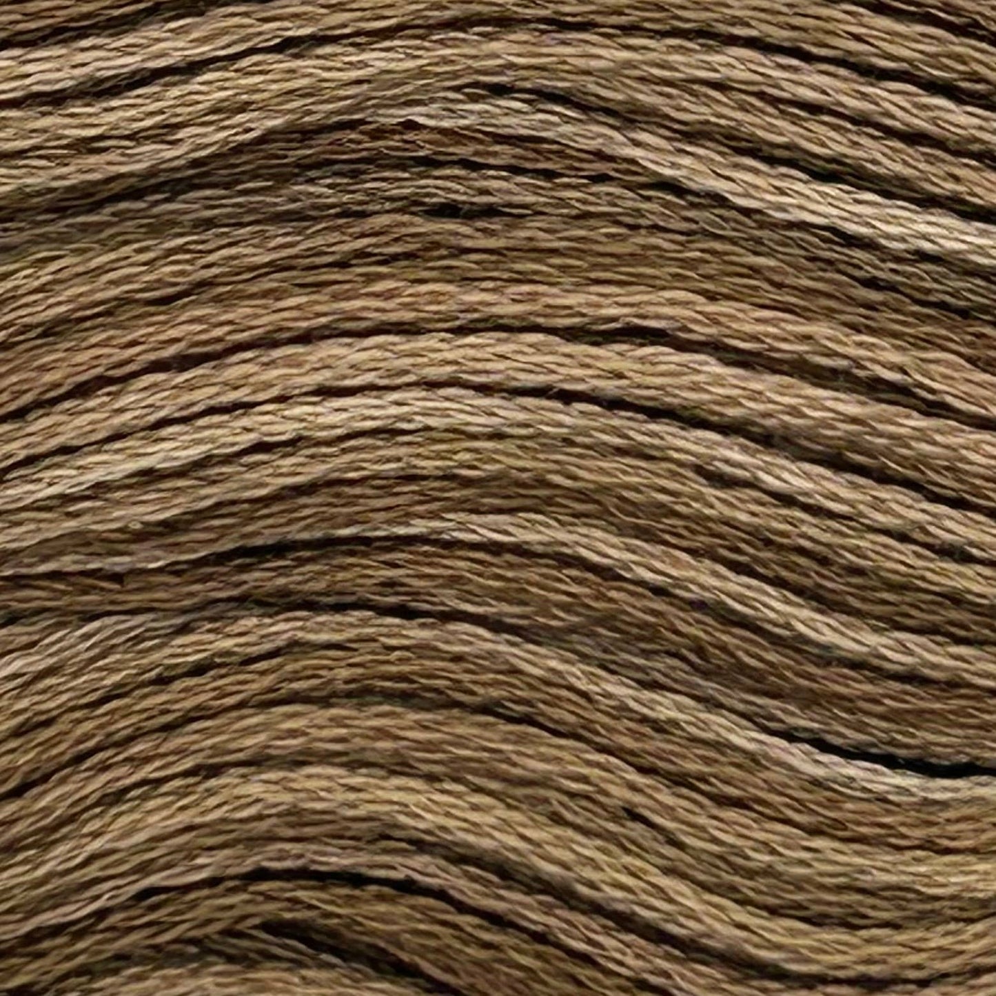 BG17 Black Walnut