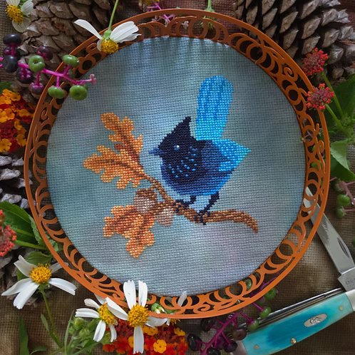 Steller's Jay Pattern