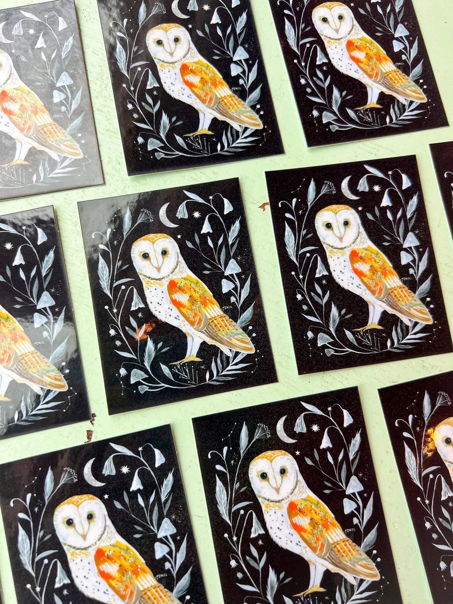 Barn Owl Glossy Sticker