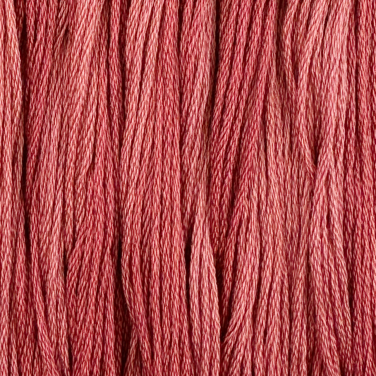 Antique Rose