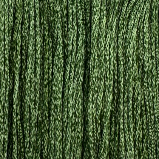 Asparagus