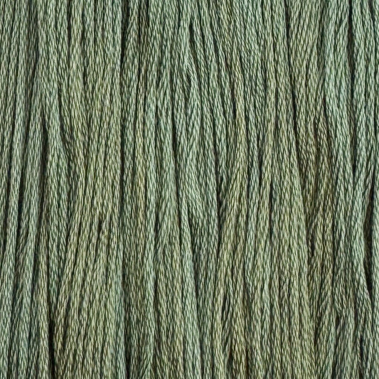 Barnacle (Limited Edition)
