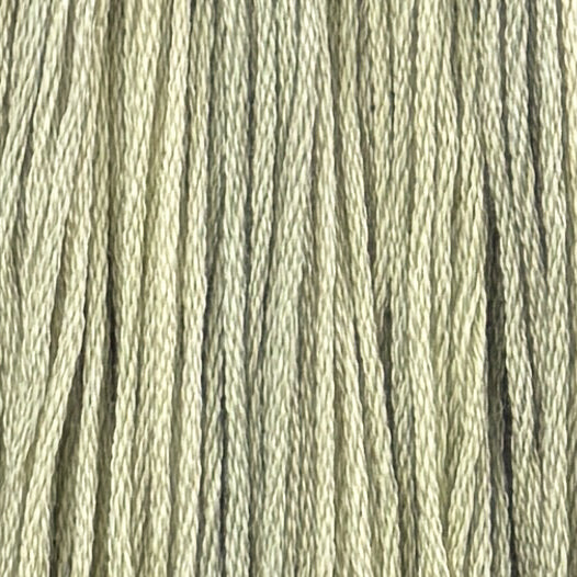 Beansprout (Limited Edition)
