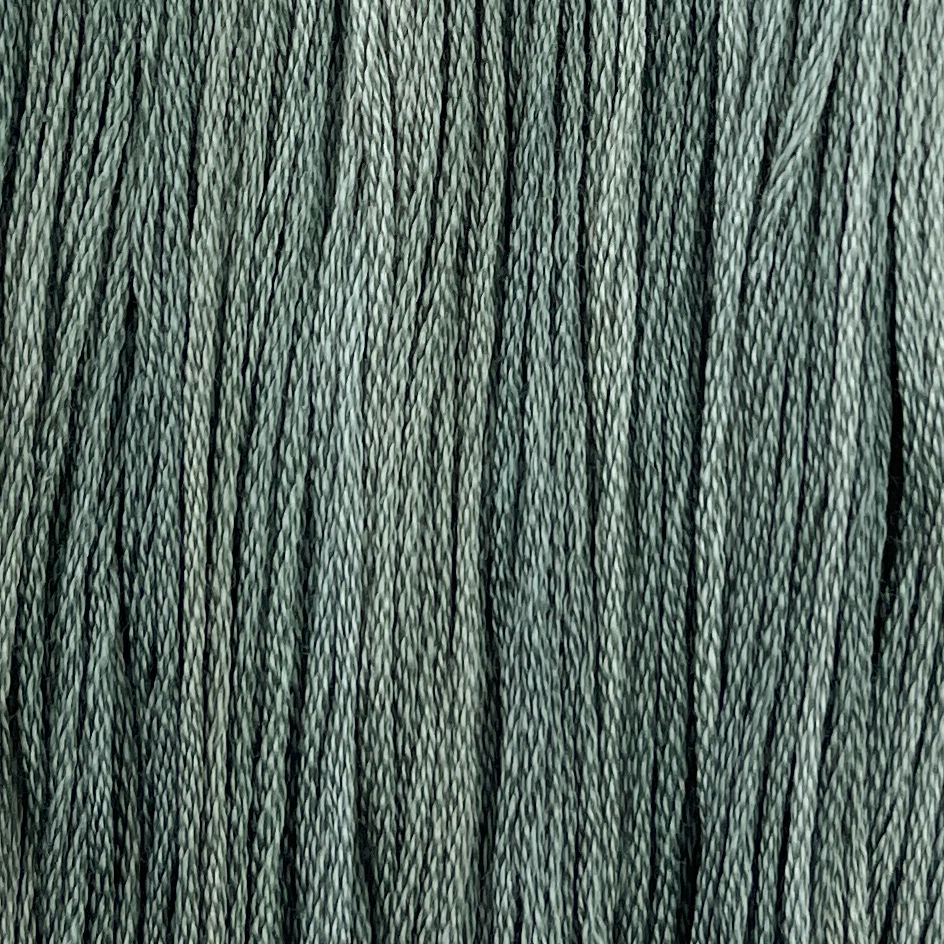 Blue Spruce
