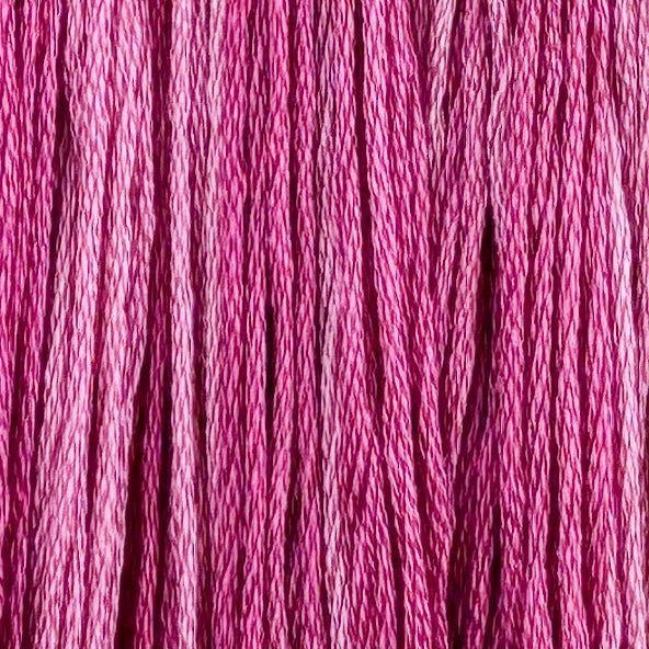 Bubblegum (Limited Edition)