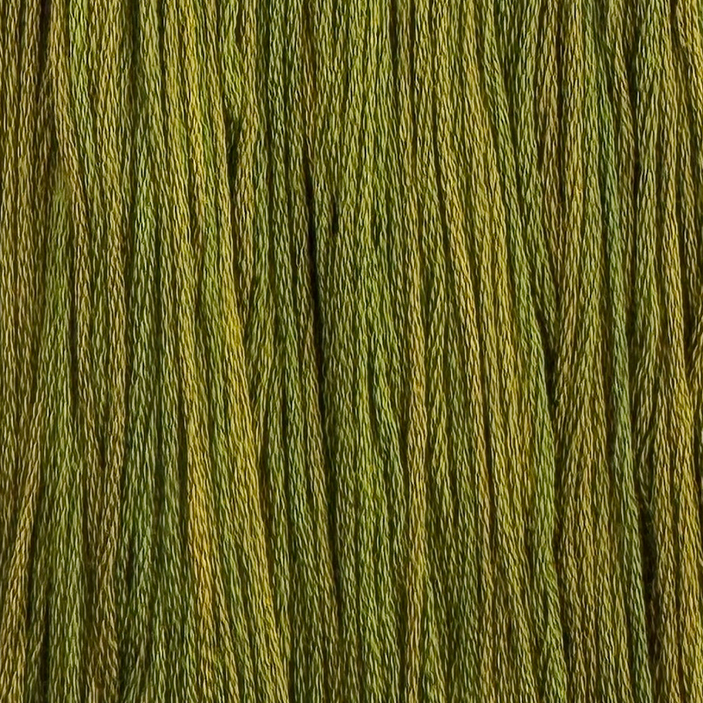 Bullfrog (Limited Edition)