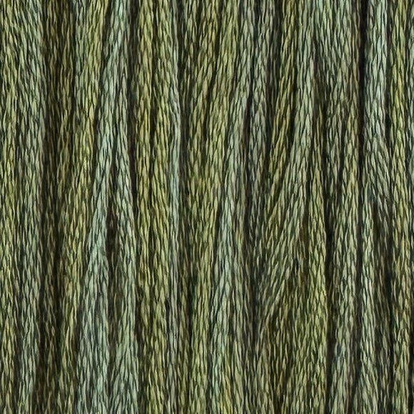 Catnip (Limited Edition)
