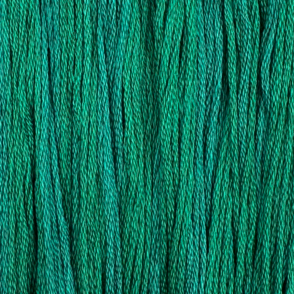 Chameleon