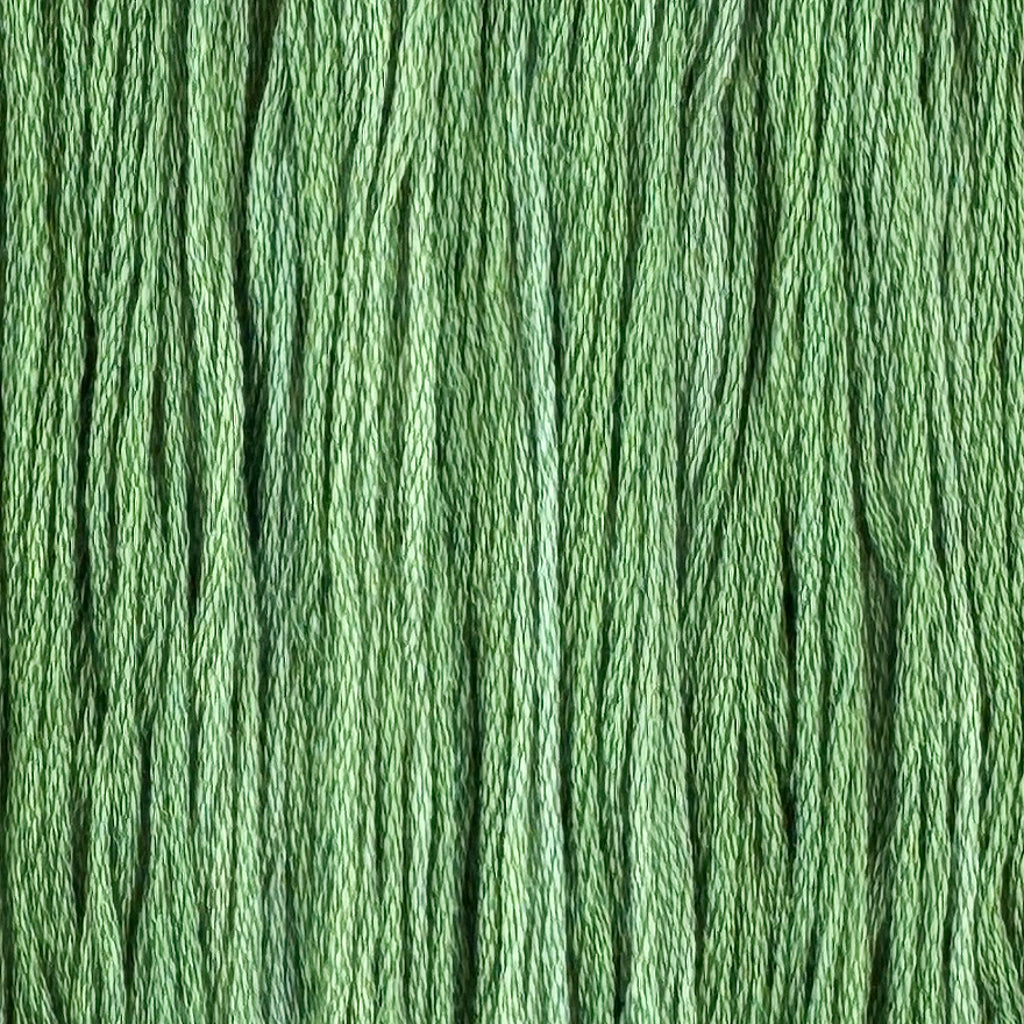 Chives (Limited Edition)