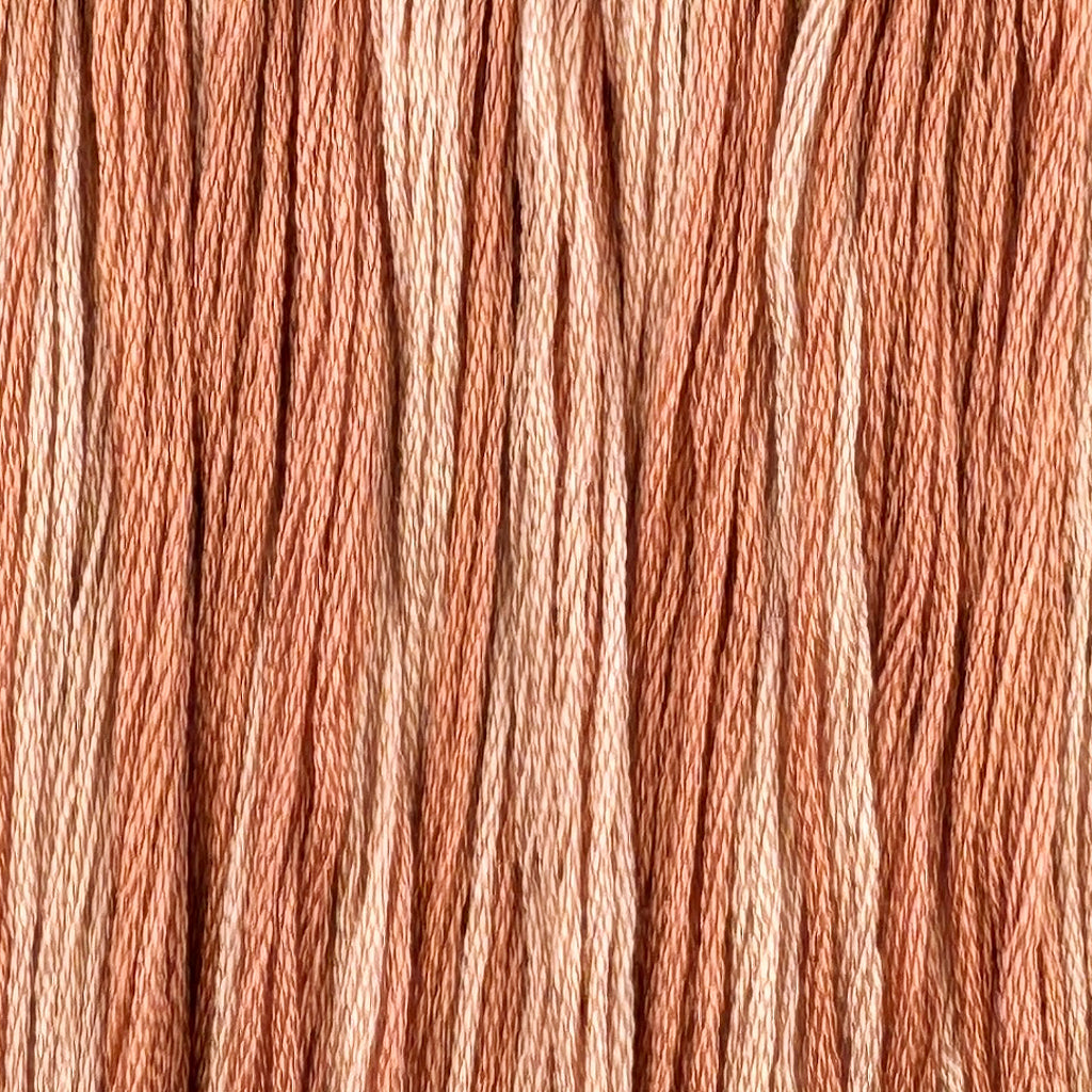 Gradient Thread Set Ghostly Garden