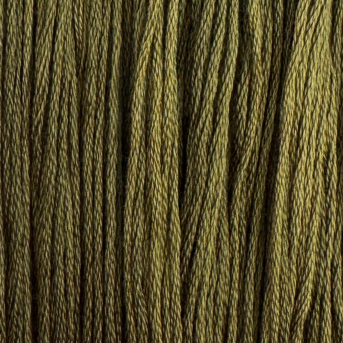 Dill (Limited Edition)
