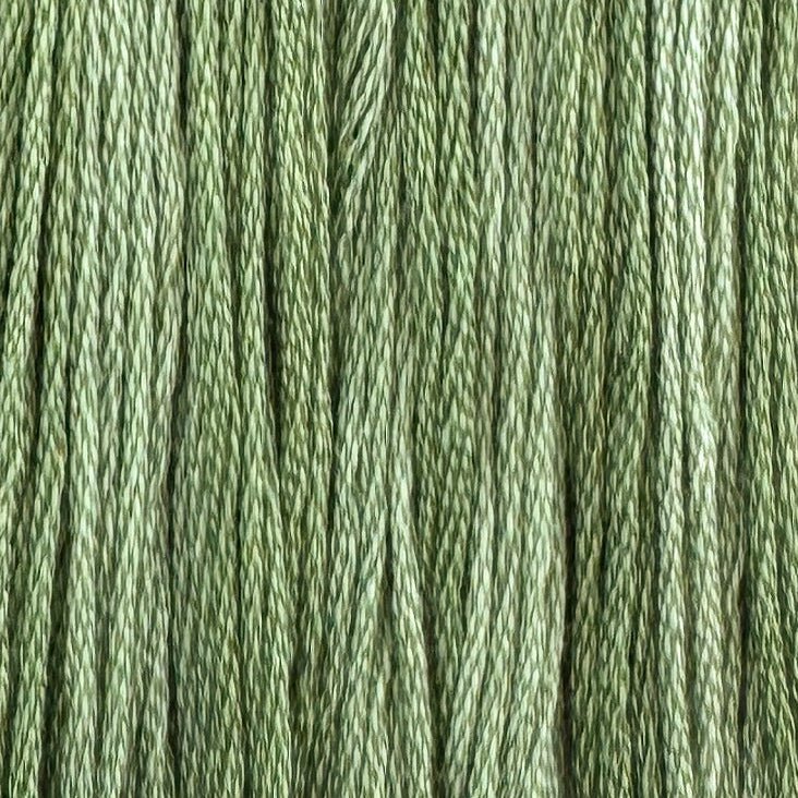 Edamame (Limited Edition)