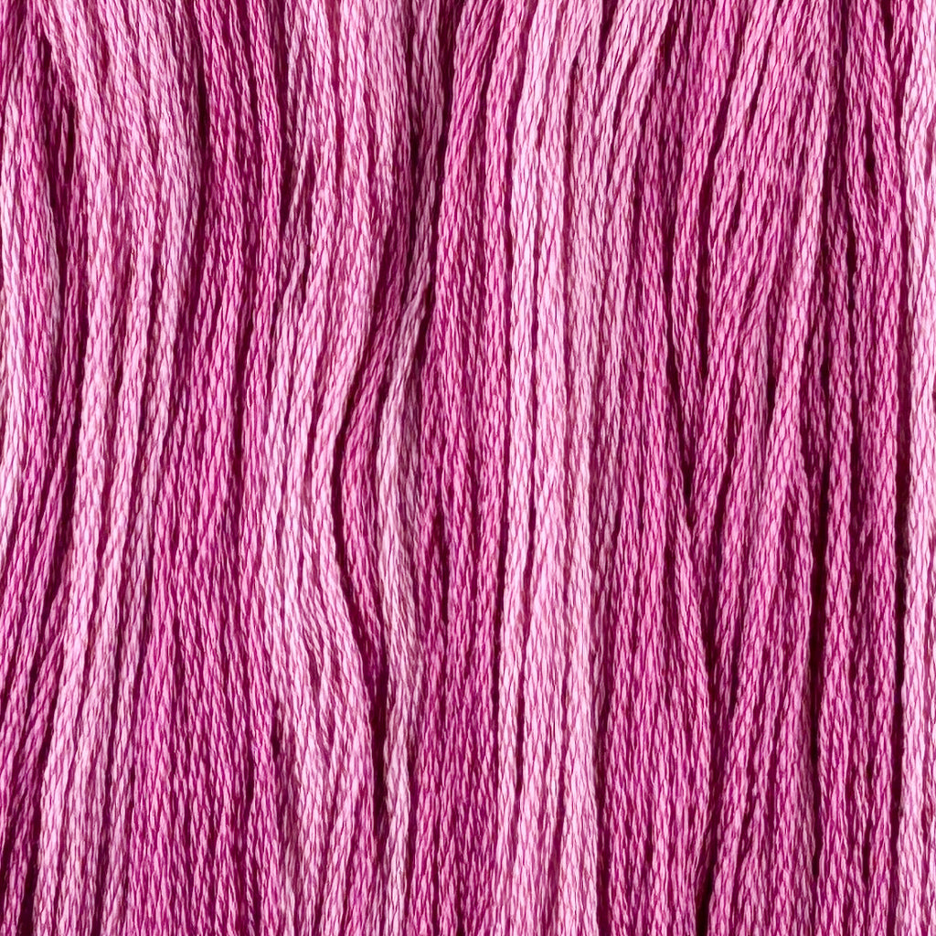 En Pointe (Limited Edition)