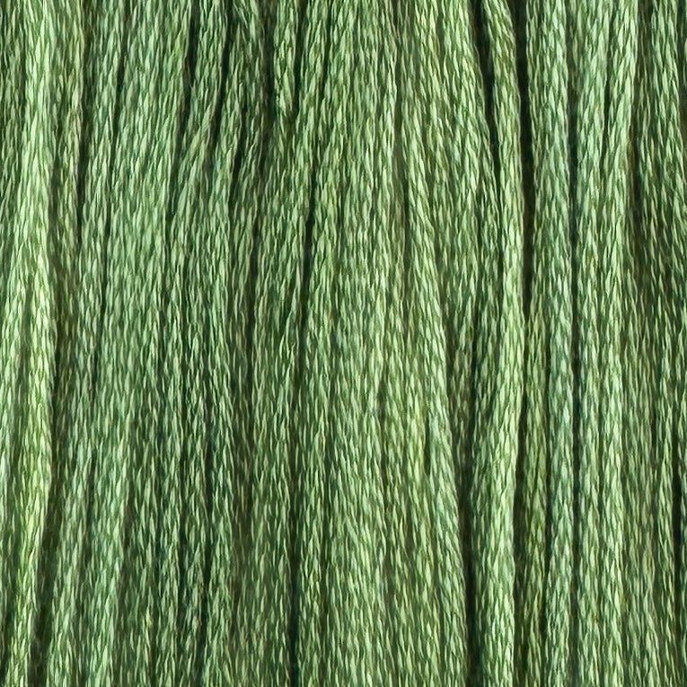 Enchanted (Limited Edition)