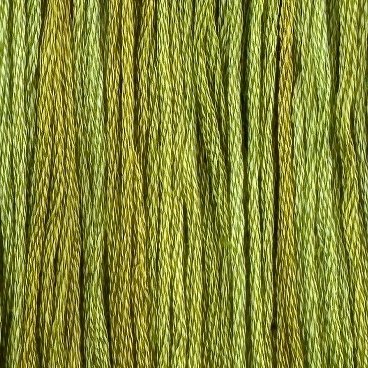 Gecko (Limited Edition)