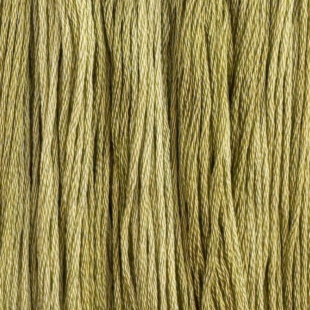Green Beans (Limited Edition)