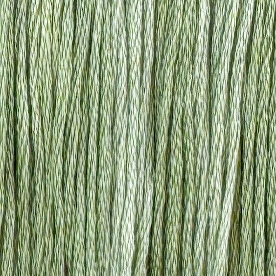 Luna Moth (Limited Edition)