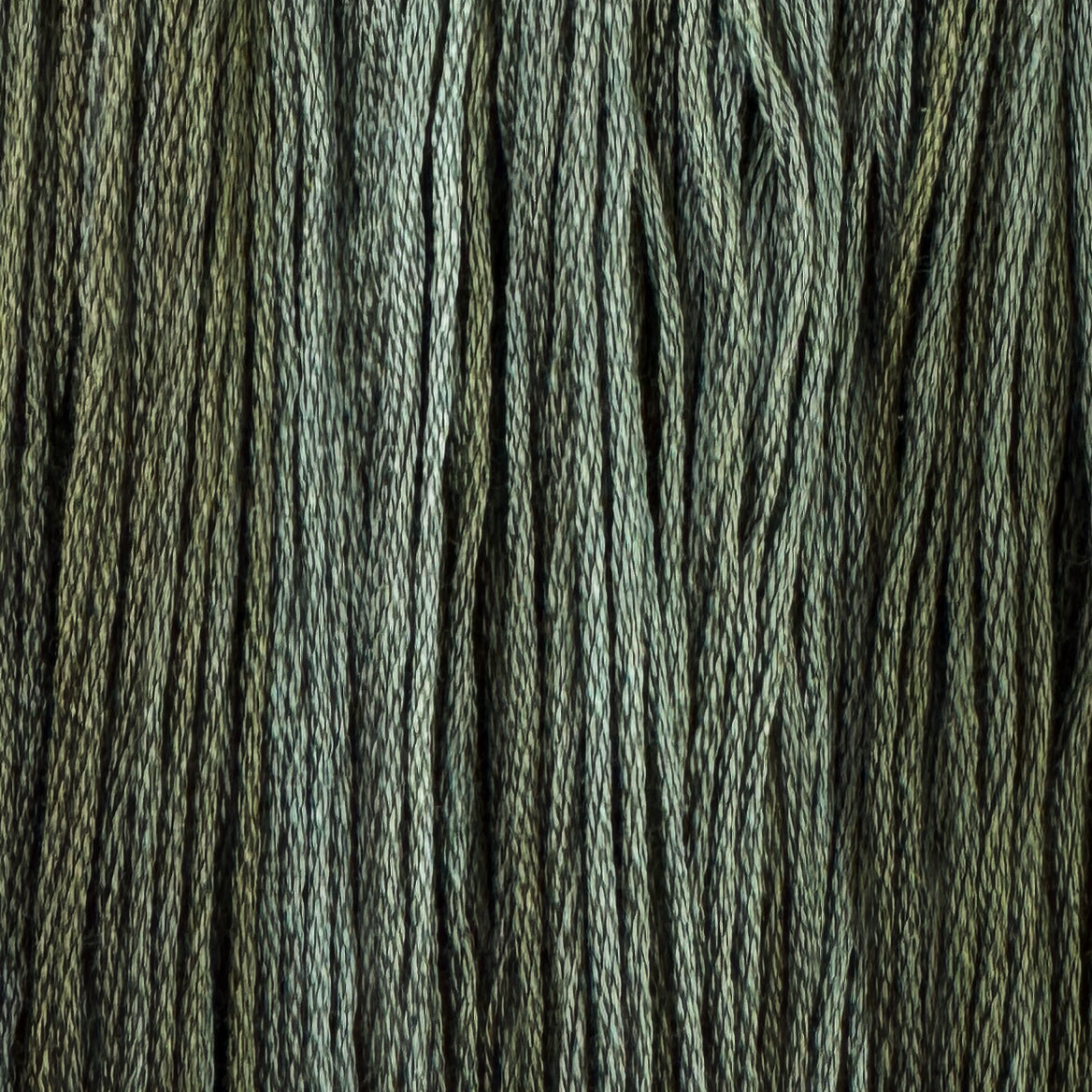 Mossy Root (Limited Edition)