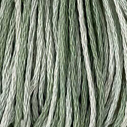 O556 Wintergreen Mint