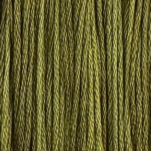 Okra