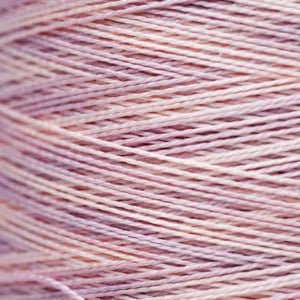 Pearl Cotton 5 – 1139 Chablis