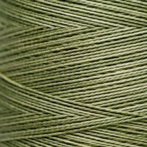 Pearl Cotton 5 – 1193 Guacamole
