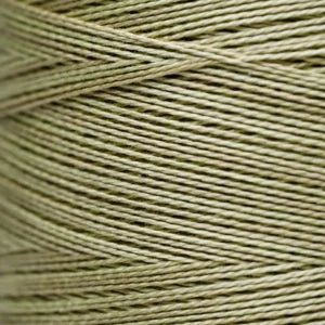 Pearl Cotton 5 – 1194 Broom Tree