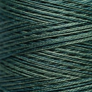 Pearl Cotton 5 – 2158 Juniper