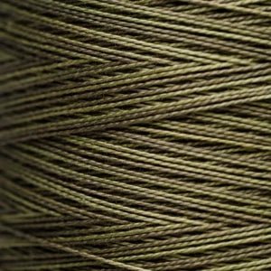 Pearl Cotton 5 – 2194 Lily Pad