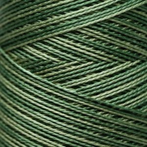 Pearl Cotton 5 – 2198 Ivy