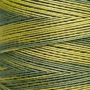 Pearl Cotton 5 – 2201 Moss