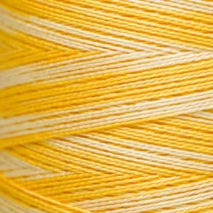 Pearl Cotton 5 – 2218 Sally’s Sunshine