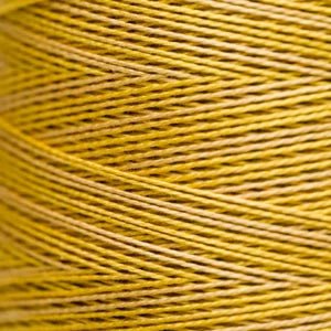 Pearl Cotton 5 – 2220 Curry