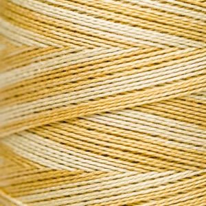 Pearl Cotton 5 – 2221 Gold