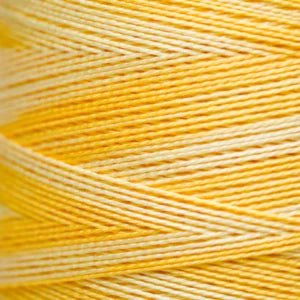Pearl Cotton 5 – 2223 Saffron