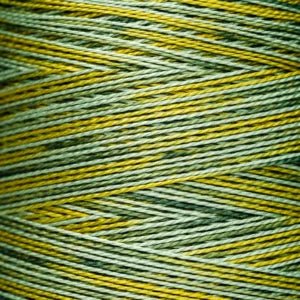 Pearl Cotton 5 – 4111 Lucky