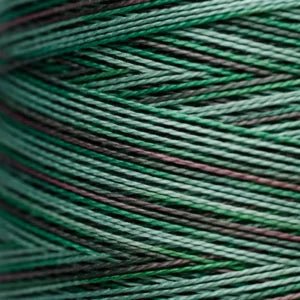 Pearl Cotton 5 – 4135 Foliage