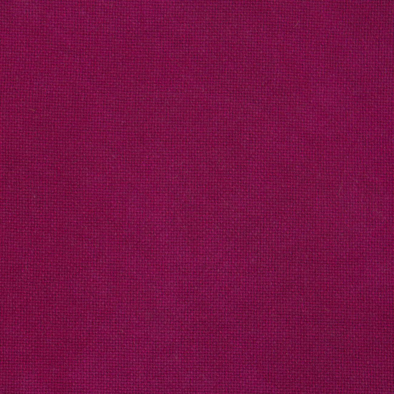 Picture This Plus Fabric Huntress