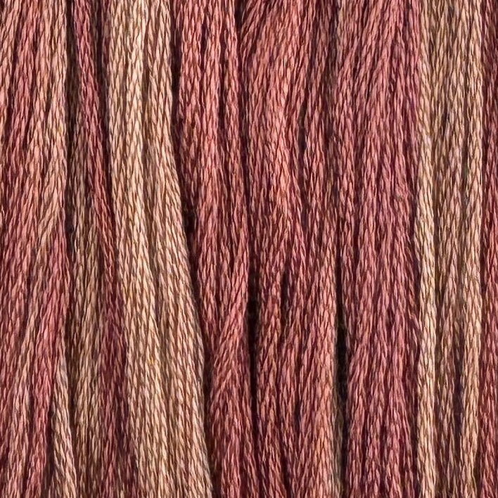 Pinto Bean (Limited Edition)