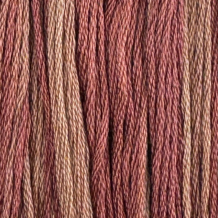 Pinto Bean (Limited Edition)